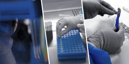 STRmix™ Faster DNA Software